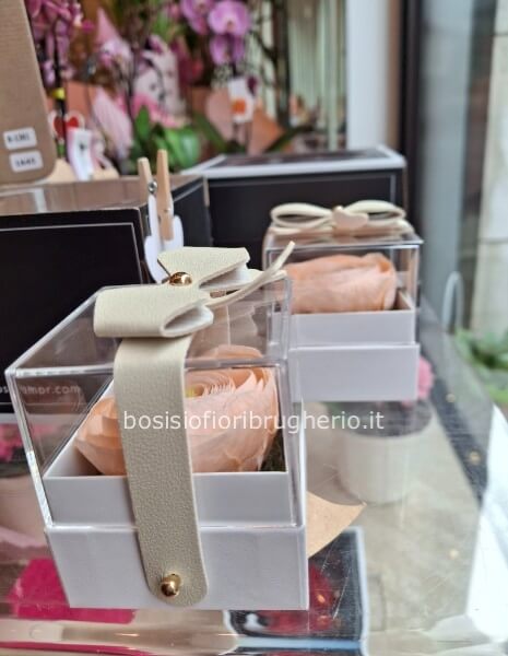 scatola plexiglass con ranuncolo rosa stabilizzato