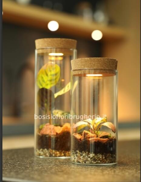 Mini-Terrarium con una luce LED alimentata dalla luce solare