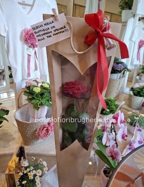 Rosa rossa gambo lungo in busta con fialetta di vetro