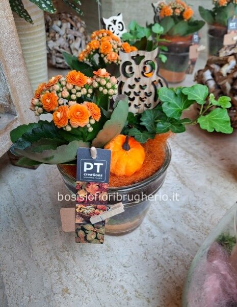 Composizione di piante