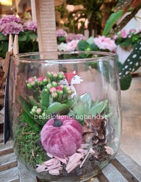 composizione di piante